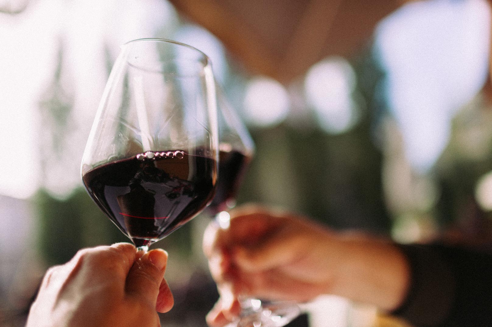 Melhores Vinhos Portugueses