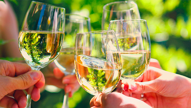 Vinhos de Verão
